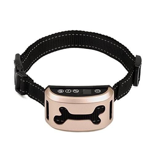 Електронний нашийник SUNROZ M682 Training Collar для дресирування собак Золотистий (SUN3149)