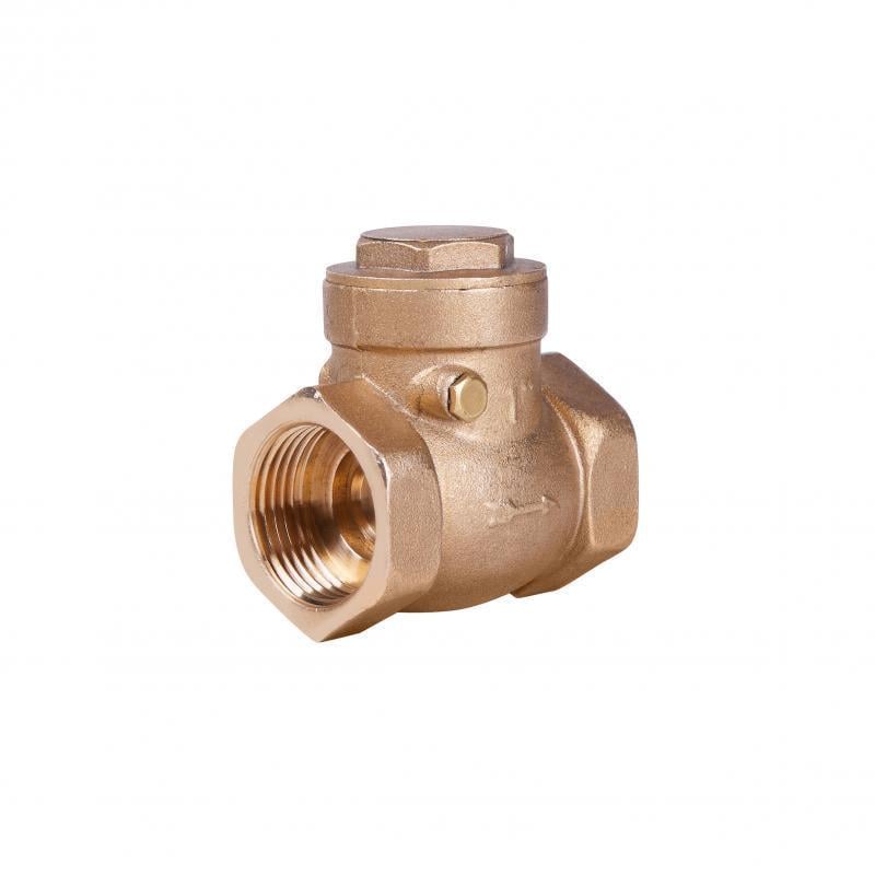 Клапан обратный SD Plus 1" (SD242W25) Клапан обратный SD Plus 1" (SD242W25)
