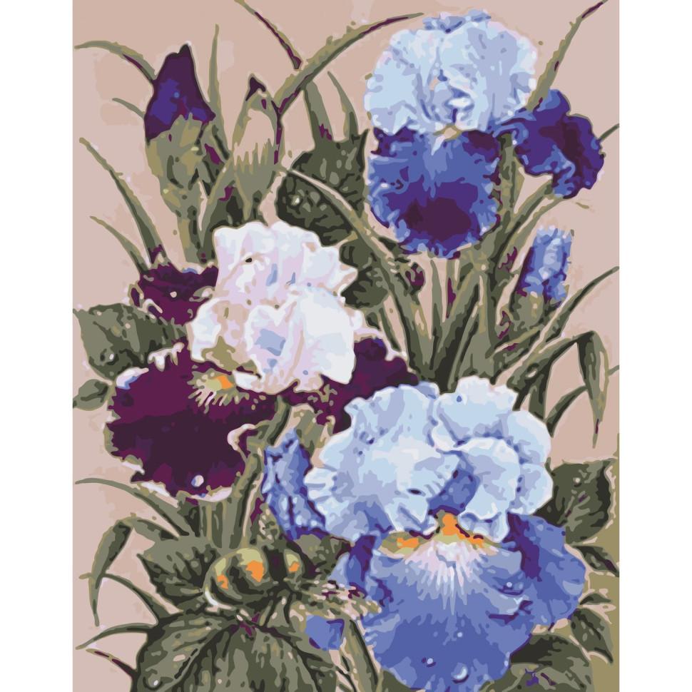 Картина по номерам ART CRAFT Петушки 40x50 см (13145-AC)
