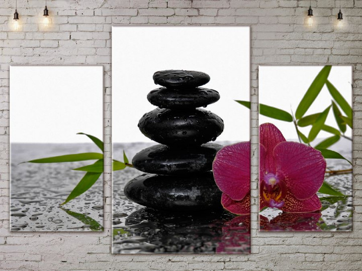 Картина модульная ArtStar Камни орхидея ADFL0113 120х180 см 3 части