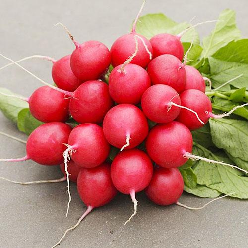 Семена Редис Florium Стелар F1 (15909)