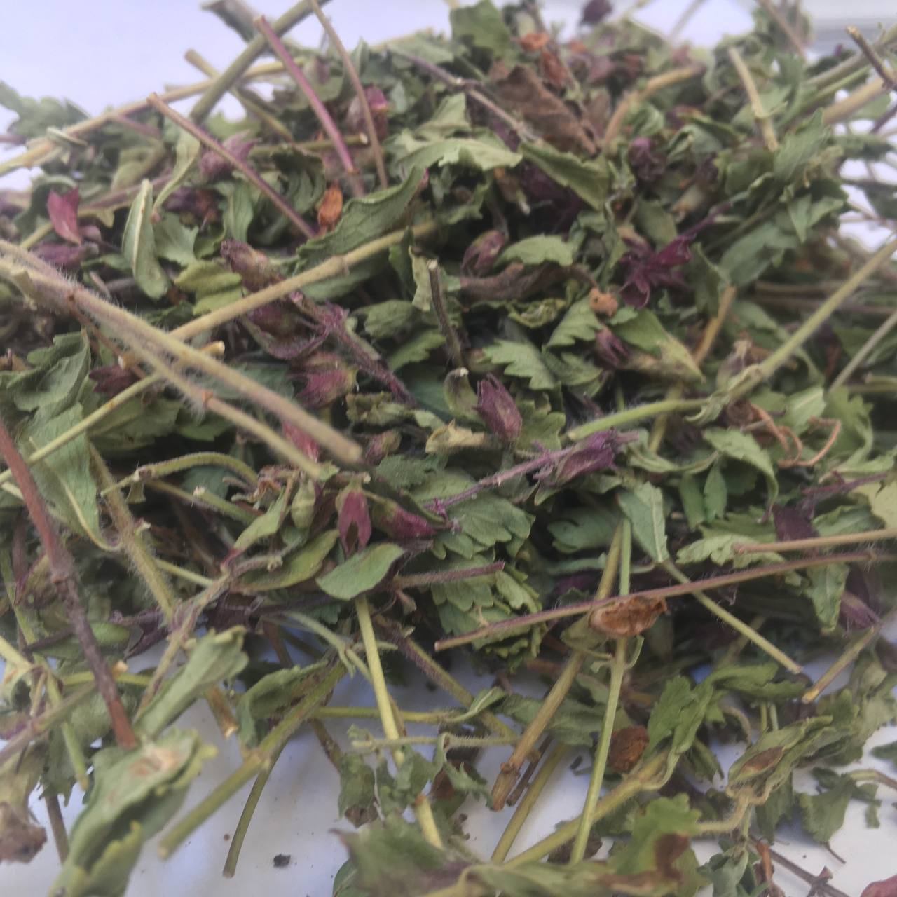 Дубровник трава Карпаты 50 г (629b5e03af8a1f4c8c70b3b5)