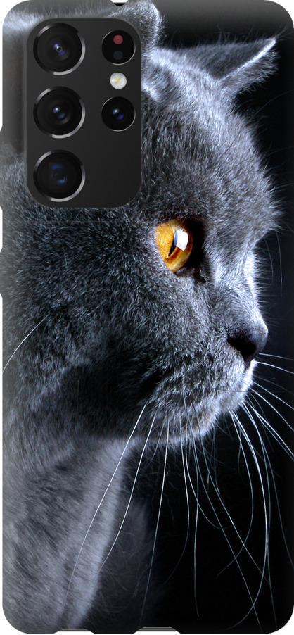 Чехол на Samsung Galaxy S21 Ultra Красивый кот (3038u-2116-42517) Чехол на Samsung Galaxy S21 Ultra Красивый кот (3038u-2116-42517)