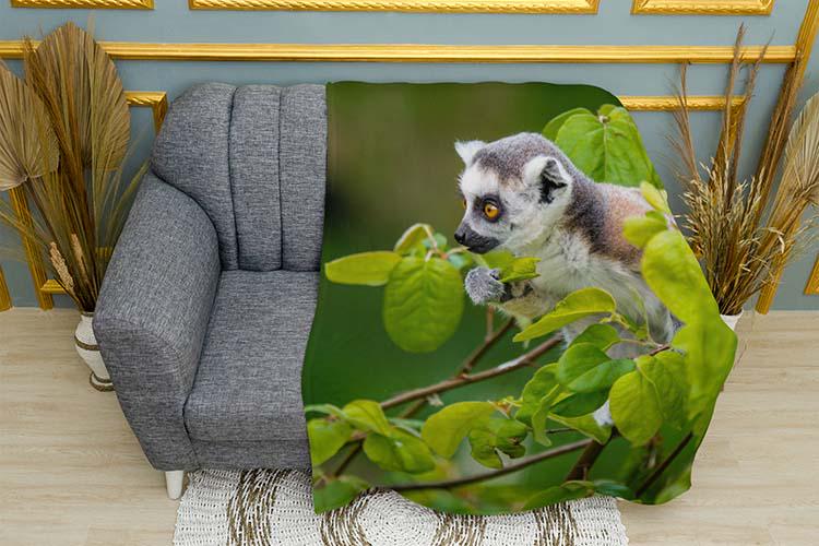 Плед Lemur in the jungle плюш одношаровий 135х150 см (113993)