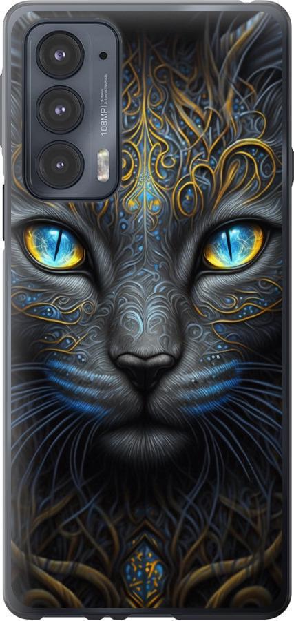 Чехол на Motorola Edge 20 Кошка (5548u-2497-42517)