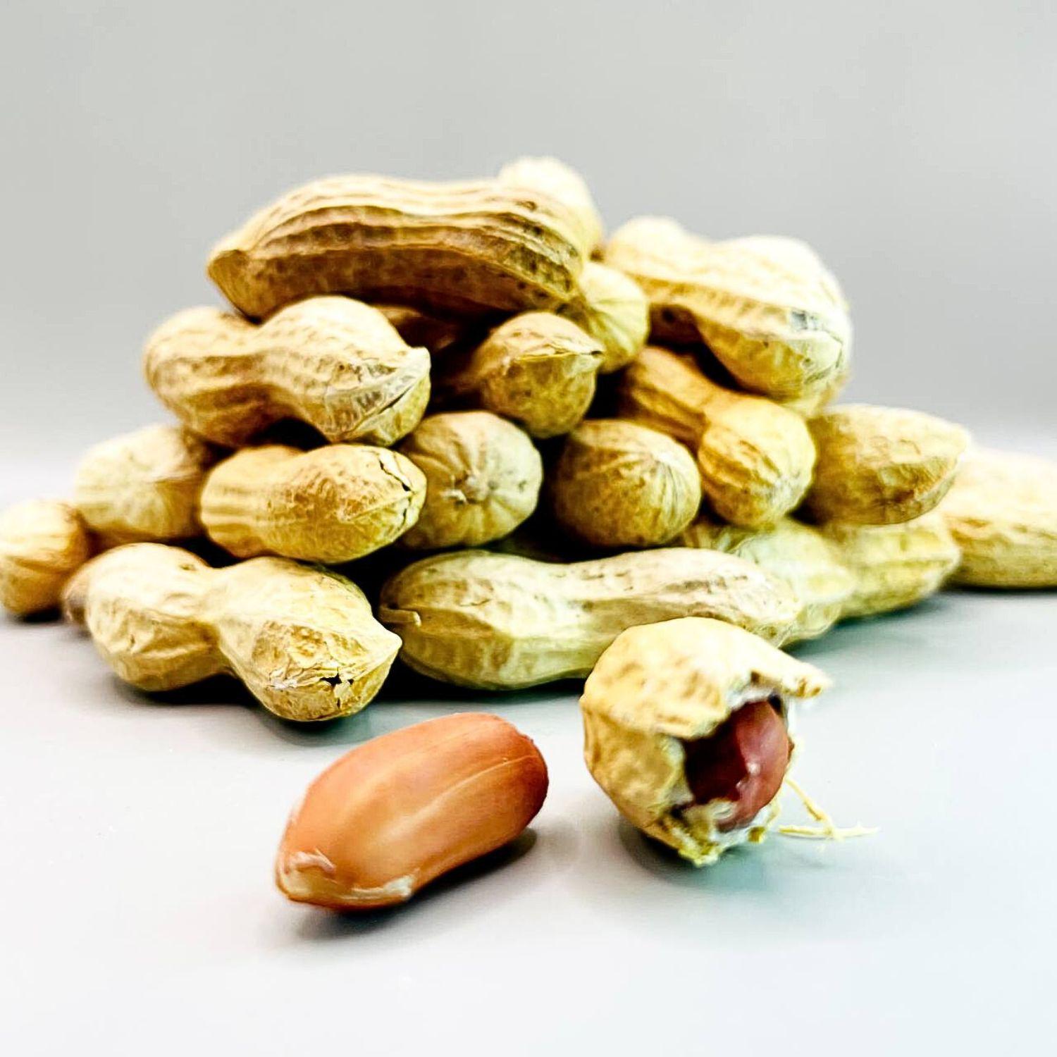 Арахіс сирий Peanut shell у шкаралупі без солі 1 кг (Pea-shell-А-1000) - фото 2