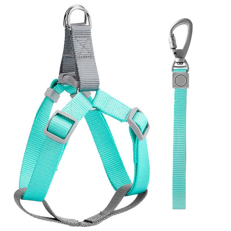 Шлея для собак и кошек с поводком Taotaopets 171120 Green L (2.0 cm)