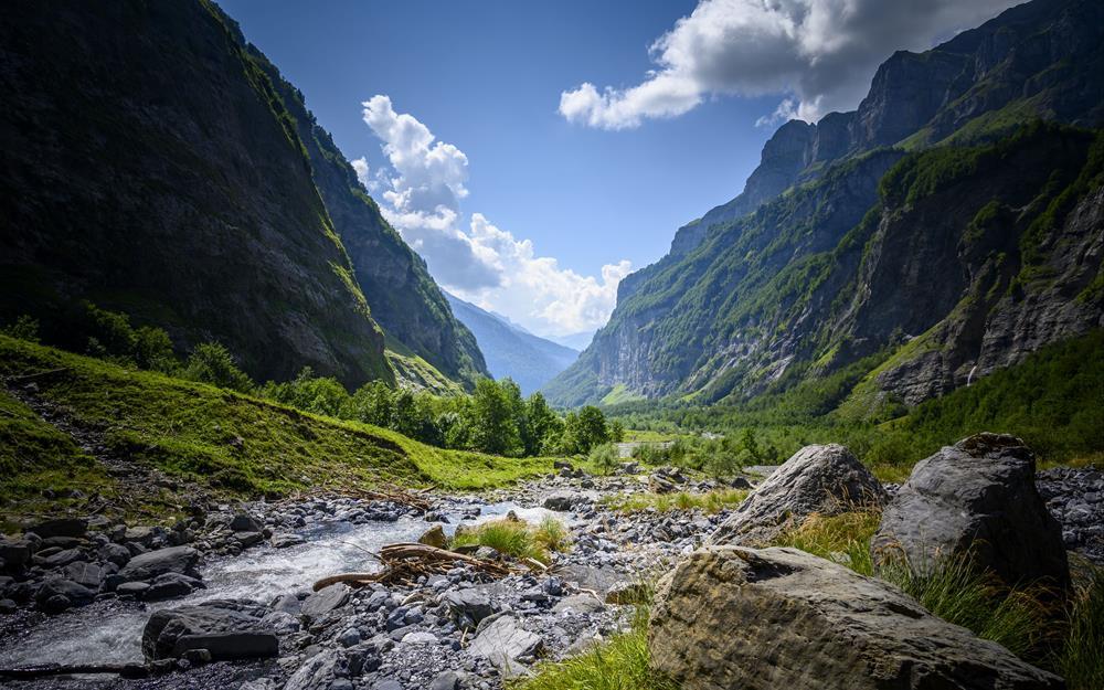 Картина на холсте Природа 55х85 см (N547)