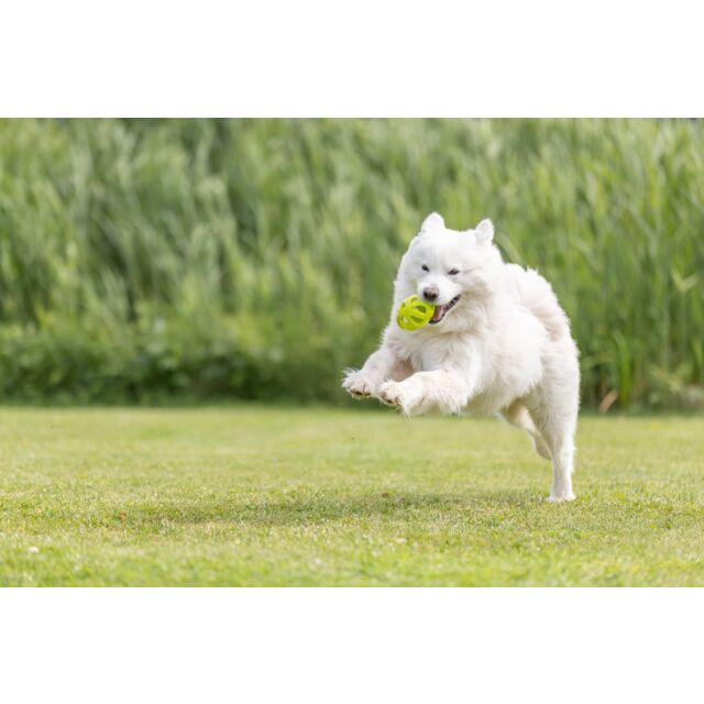 М'яч Trixie регбі у вигляді сот для собак 11 см (TX-33544) - фото 3 М'яч Trixie регбі у вигляді сот для собак 11 см (TX-33544) - фото 3