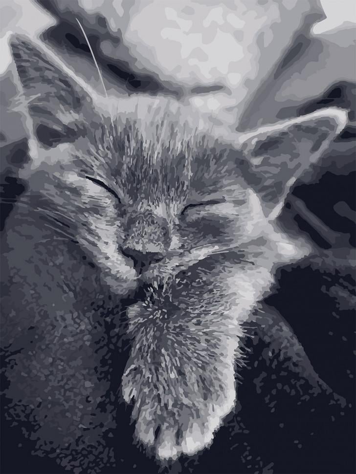 Картина за номерами Art Craft "Котяча подяка" 40x50 см (11612-AC)