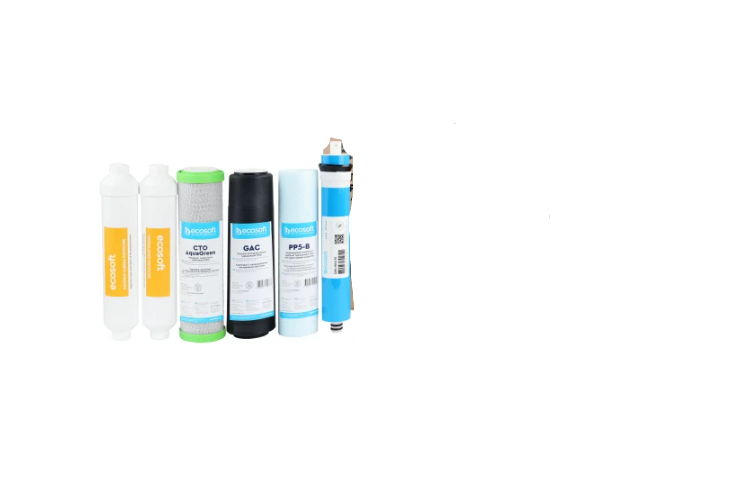 Комплект картриджей Ecosoft Absolute 12 месяцев (CHV6ECOABS)