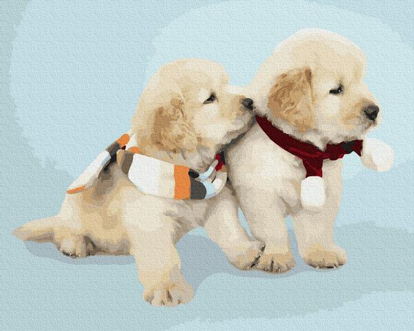 Картина по номерам Brushme Милые собачки 40х50 см (BK-GX38498) Картина по номерам Brushme Милые собачки 40х50 см (BK-GX38498)