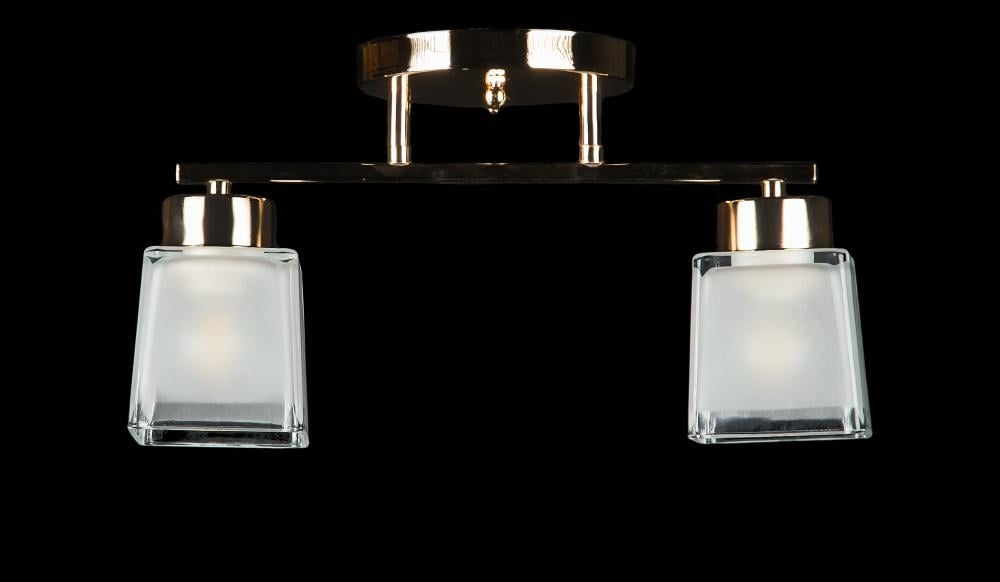 Люстра с плафонами Ray L06210/2 FGD (IR006003)