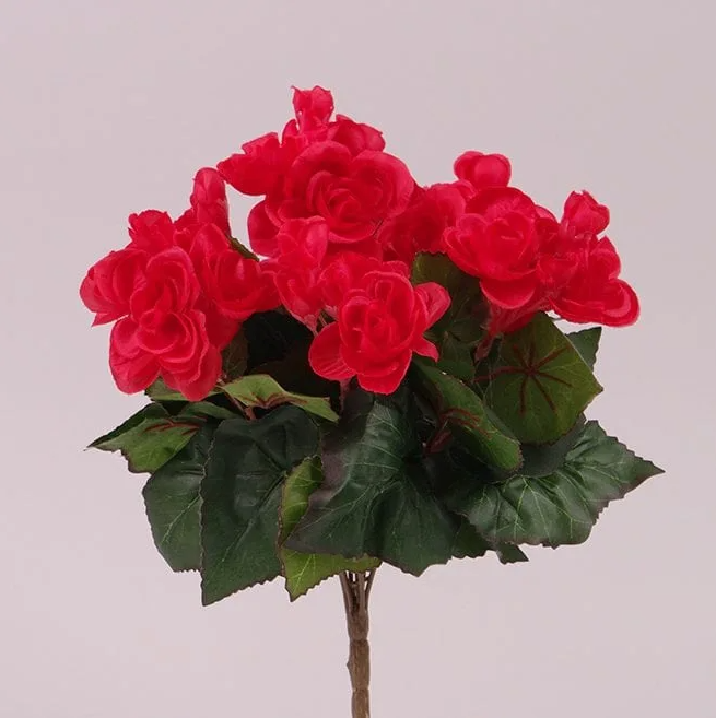 Букет Бегоний Flora Красный (72832)