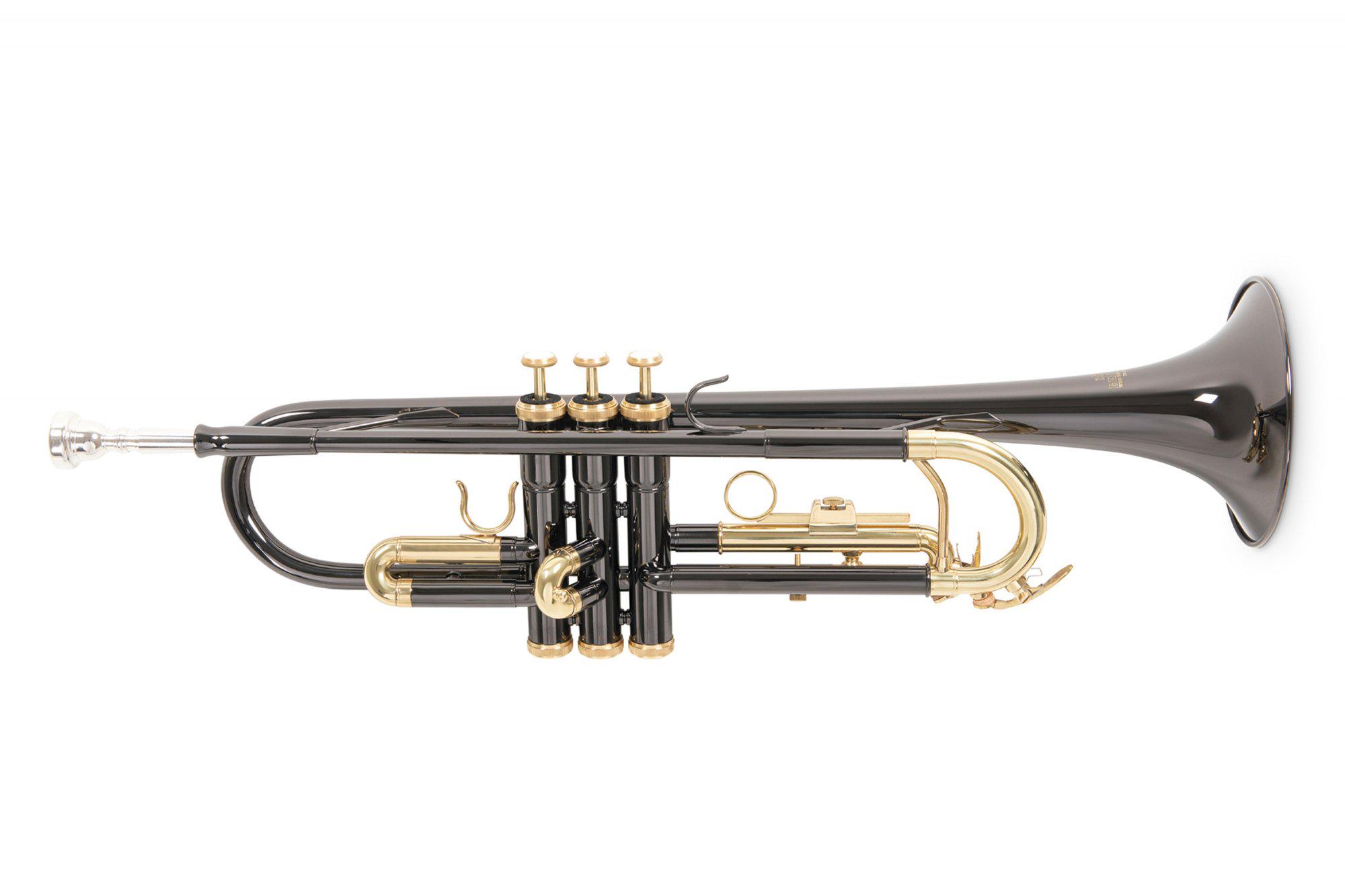 Труба Roy Benson TR-101K Bb-Trumpet (18634748)