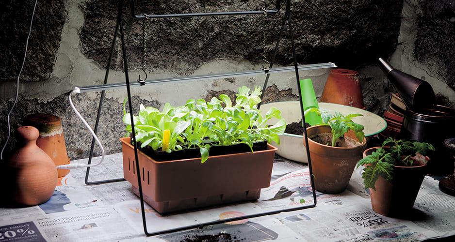 Стойка для LED лампы Nelson Garden 41 см (400021) - фото 2 Стойка для LED лампы Nelson Garden 41 см (400021) - фото 2