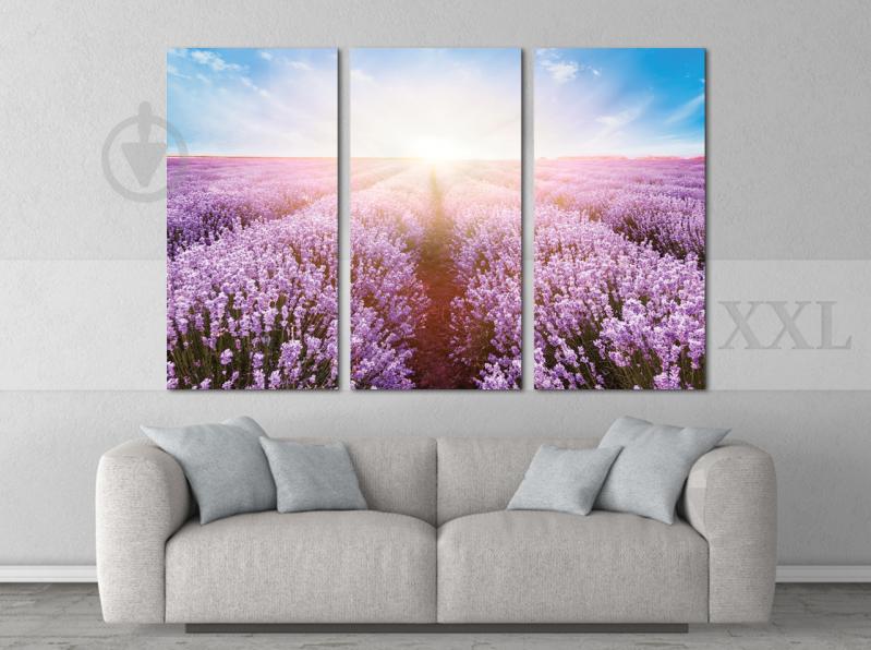 Модульна картина Poster-land Прованс Art-184_XXL