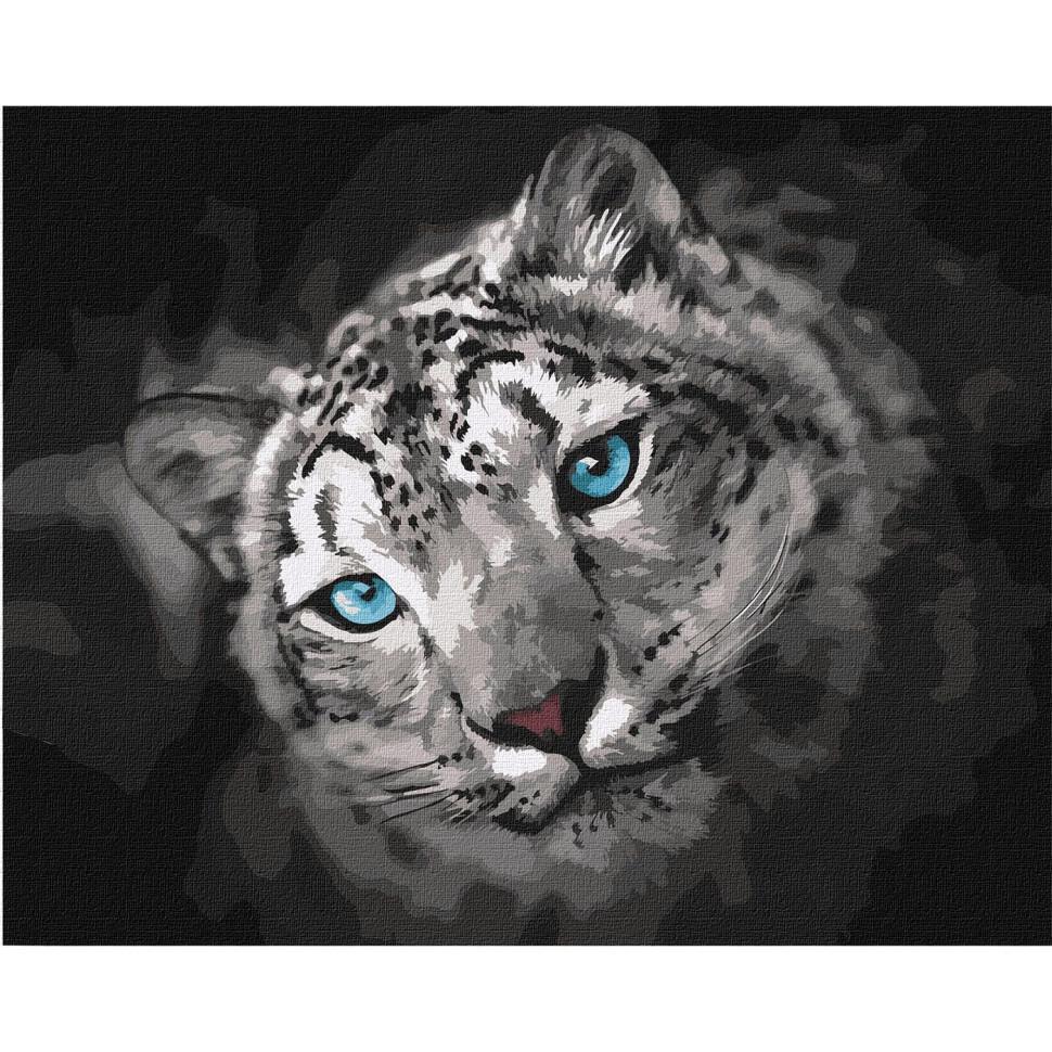 Картина за номерами Ideyka Небесний погляд KHO4306 40x50 см (RLT23322)