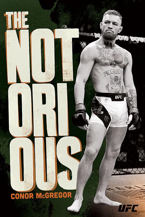 Постер плакат UFC Конор Мак-Грегор/UFC Conor McGregor Stance 61x91,5 см