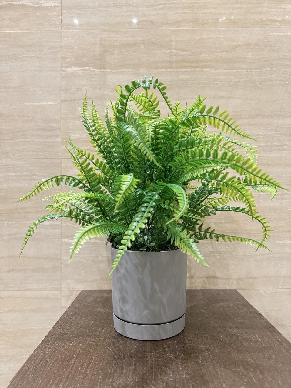 Вазон с искусственным папоротником ПЛАСТМАКС (25087355) - фото 2 Вазон с искусственным папоротником ПЛАСТМАКС (25087355) - фото 2