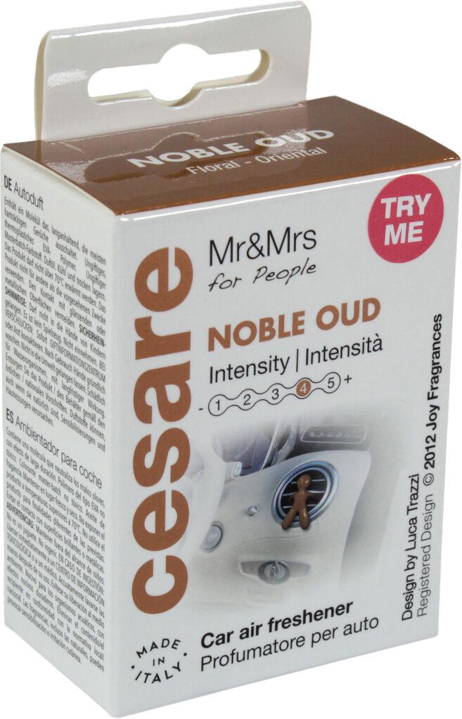 Ароматизатор Mr&Mrs Cesare BOX Noble Oud полимерный Bronze