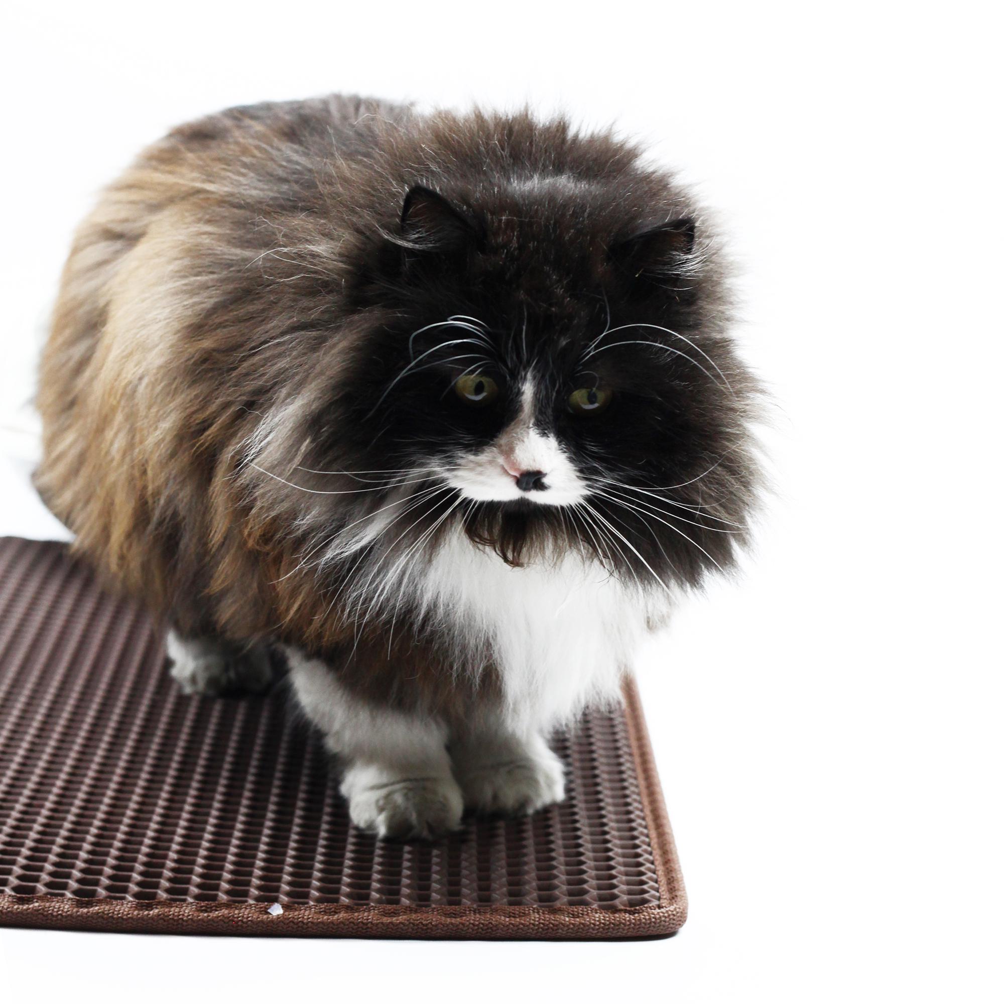 Коврик двухслойный Cat in Box для кошачьего лотка EVA 50x30 см Серый - фото 7 Коврик двухслойный Cat in Box для кошачьего лотка EVA 50x30 см Серый - фото 7