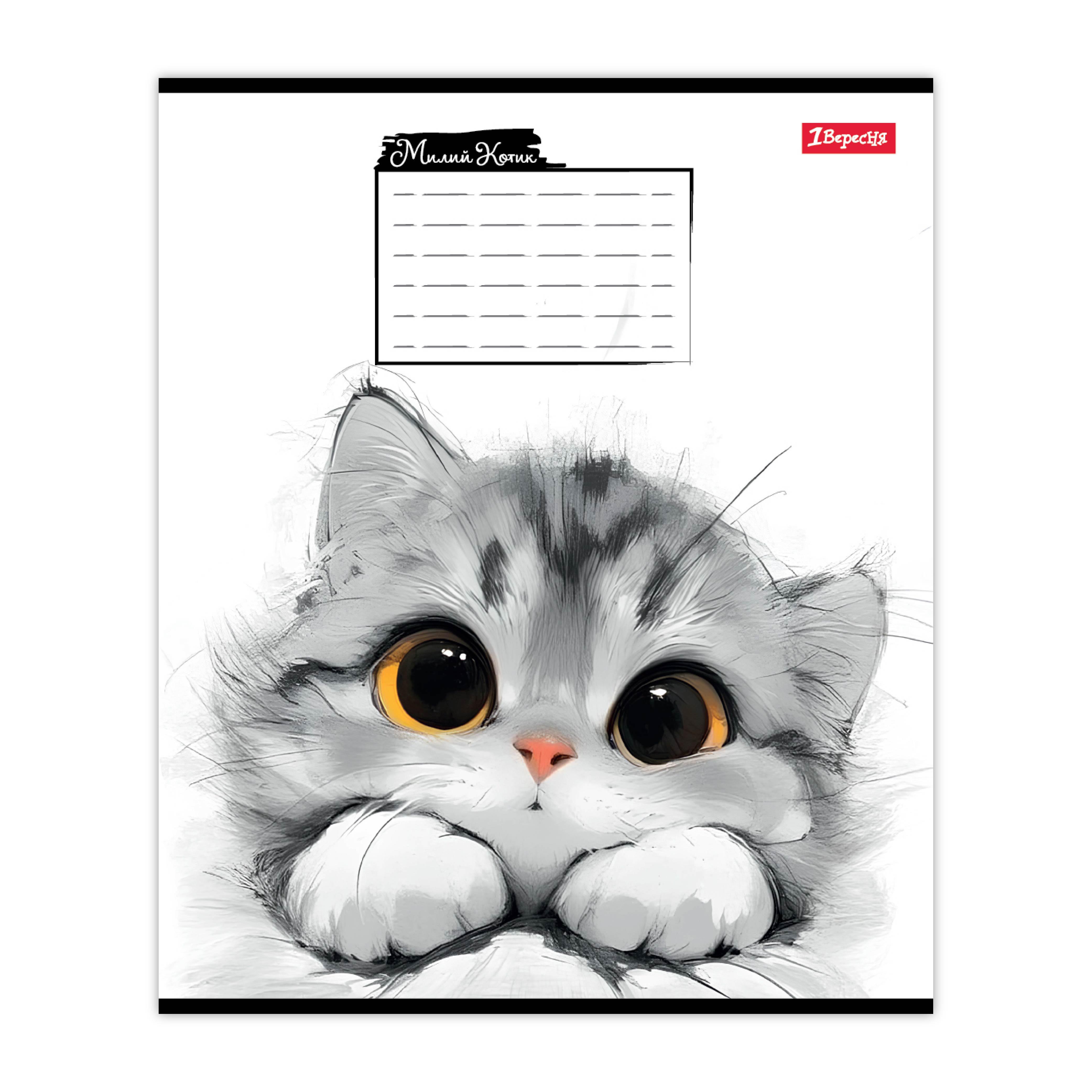 Тетрадь школьная 1 Вересня Little Cat коса линия 12 л. (768736)