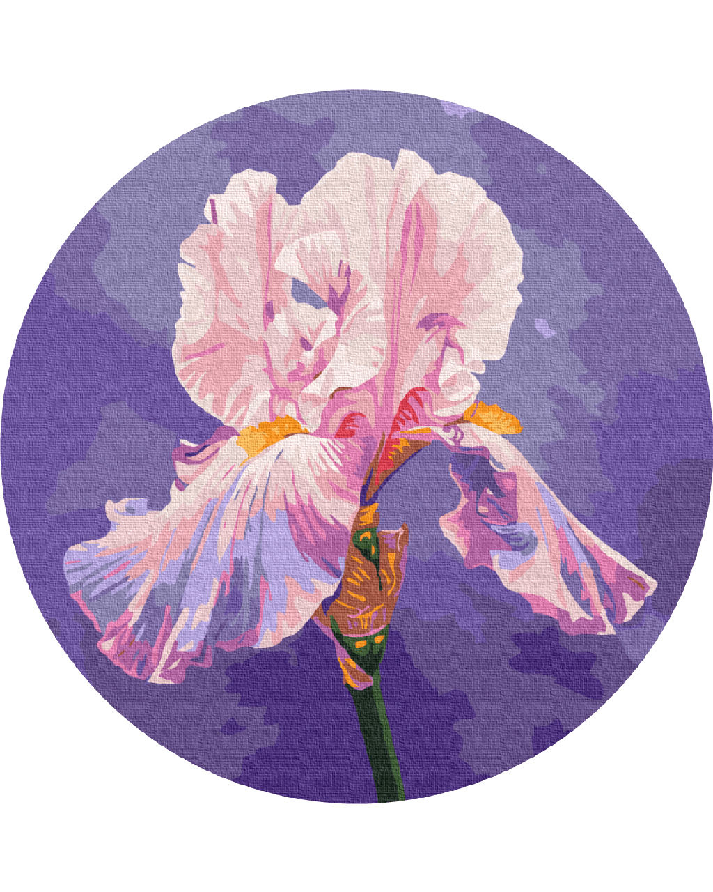 Картина за номерами Brushme Ірис RC00078M полотно на круглому підрамнику Рожевий (2301914241)