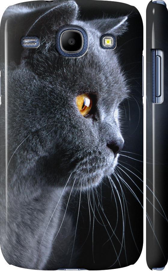Чехол на Samsung Galaxy Core i8262 Красивый кот (3038c-88-42517)