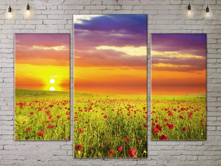 Картина модульная ArtStar ADNA0190 150х180 см 3 части