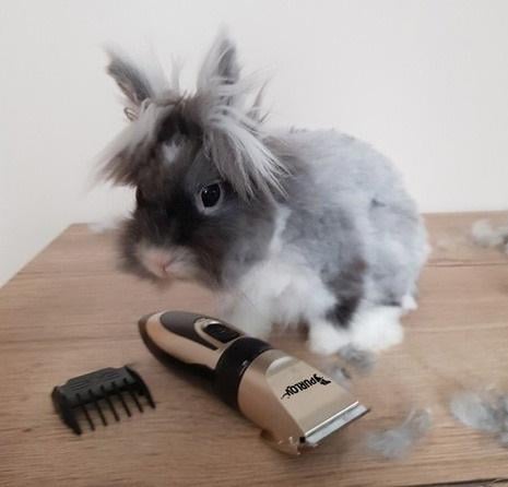 Машинка для стрижки тварин бездротова з насадками та USB-зарядкою - фото 9 Машинка для стрижки тварин бездротова з насадками та USB-зарядкою - фото 9