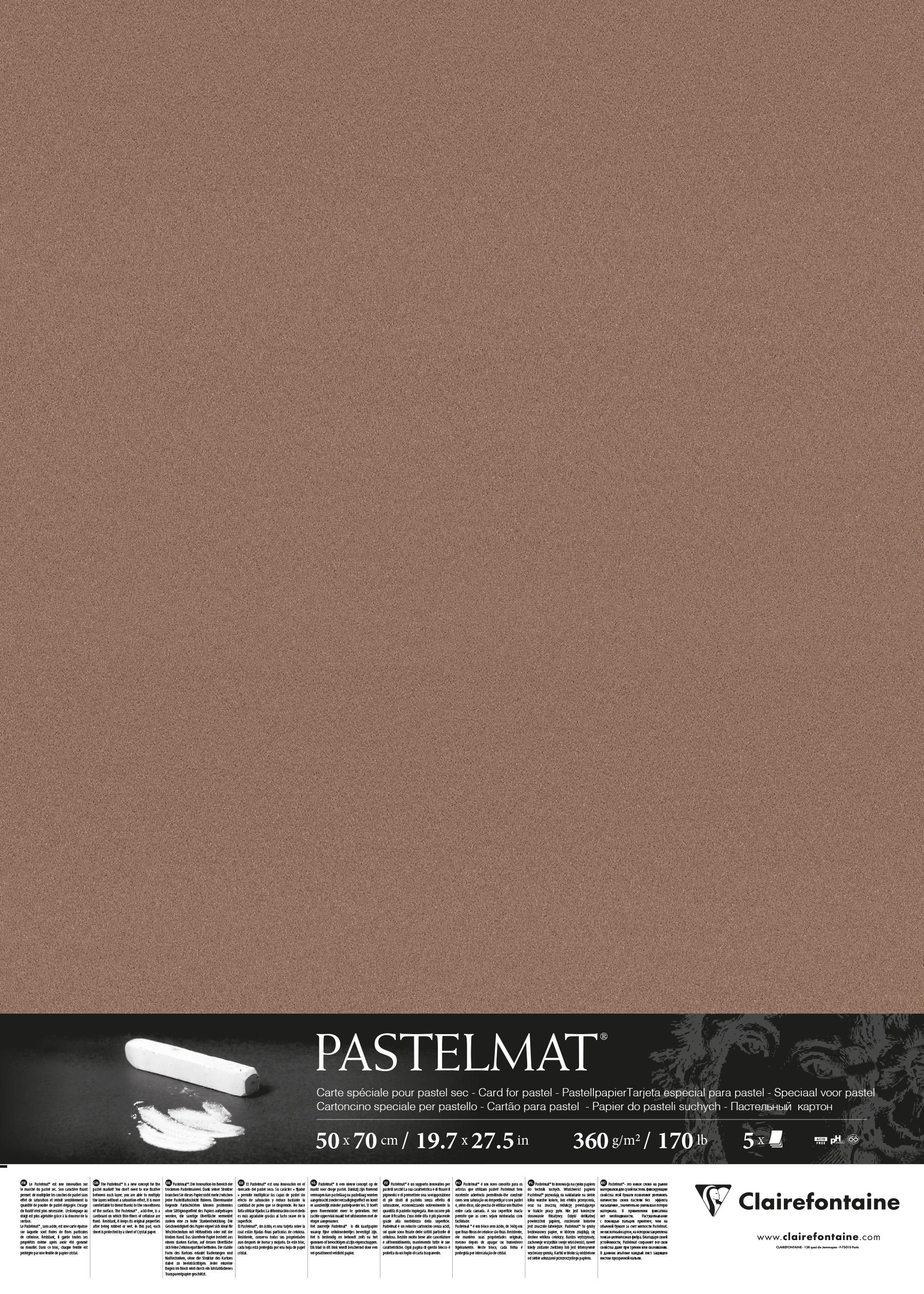 Аркуш Clairefontaine Pastelmat 5 шт. 50х70 см Light Brown (96011C) - фото 2 Аркуш Clairefontaine Pastelmat 5 шт. 50х70 см Light Brown (96011C) - фото 2