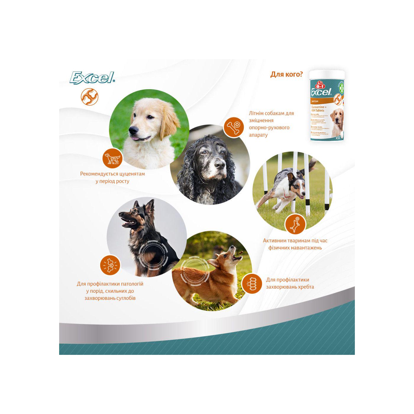 Вітаміни для цуценят та дорослих собак 8in1 Excel Glucosamine + MSM для суглобів 55 шт. (661831) - фото 5 Вітаміни для цуценят та дорослих собак 8in1 Excel Glucosamine + MSM для суглобів 55 шт. (661831) - фото 5