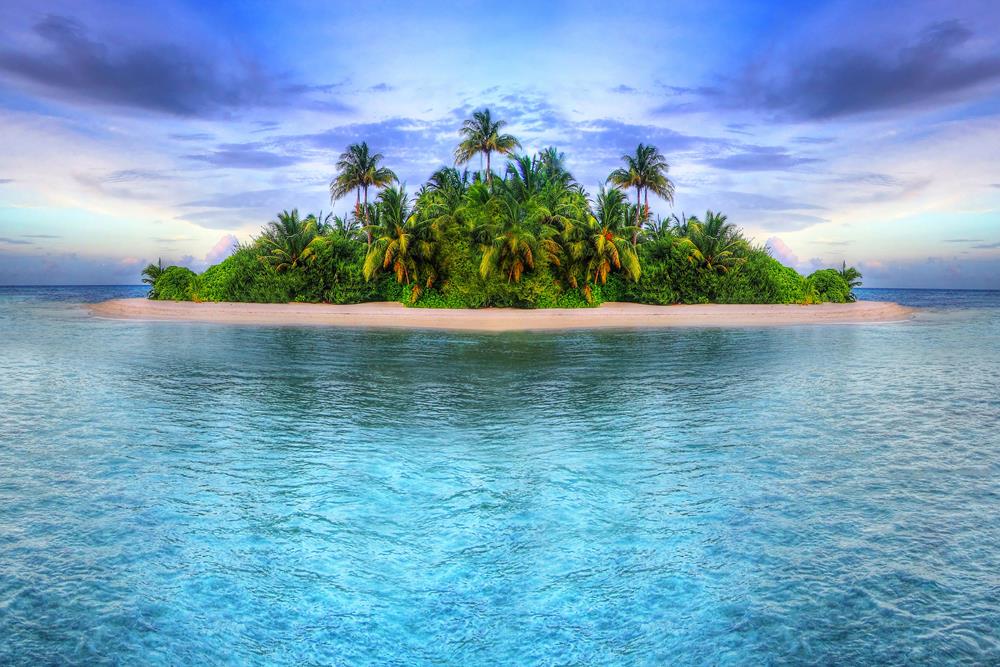 Картина Природа PR216 35х55см