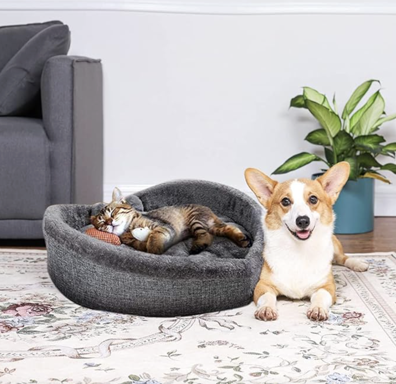 Лежак у формі серця з плюшевою подушкою - фото 3 Лежак у формі серця з плюшевою подушкою - фото 3