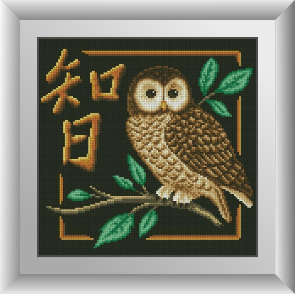 Алмазная мозаика Dream Art Мудрость 32x32 см (DA.30450)
