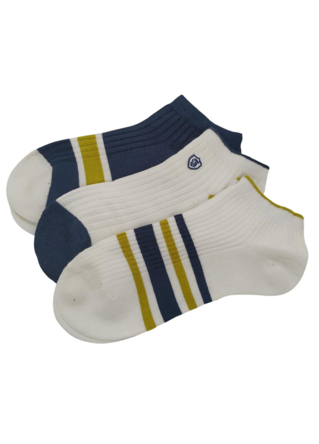 Набір шкарпеток чоловічих Convenient 904-01 р. 41-44 3 шт. Різнокольоровий (12562217) - фото 3