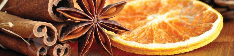 Наклейки кухонный фартук Zatarga "Корица и бадьян " 600х2500 мм Коричневый (Z180281) Наклейки кухонный фартук Zatarga "Корица и бадьян " 600х2500 мм Коричневый (Z180281)