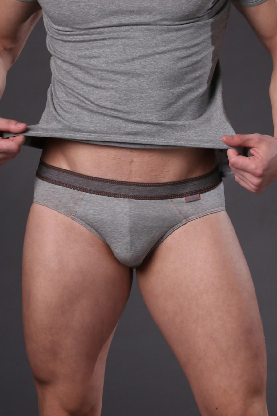 Трусы слип Jolidon р. 50/L Серый (59289)