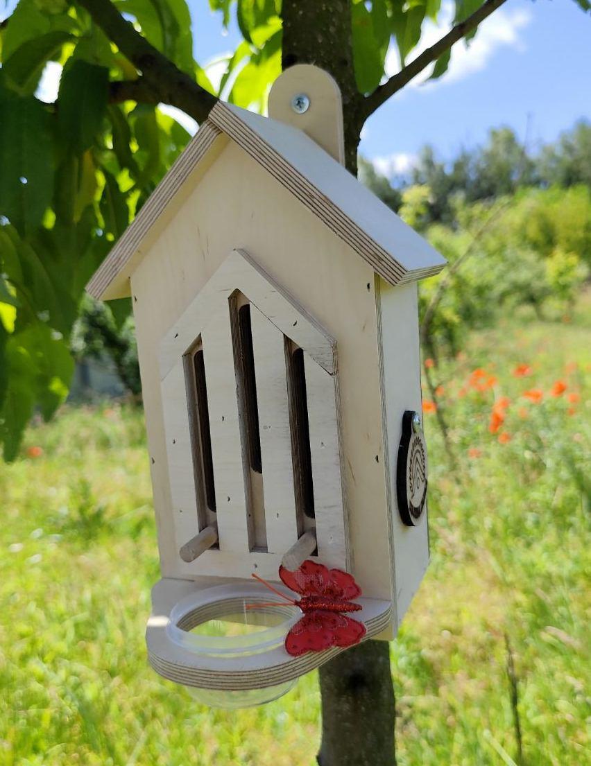 Домик Оазис для бабочек с поилкой Некрашеный (0002251) - фото 3