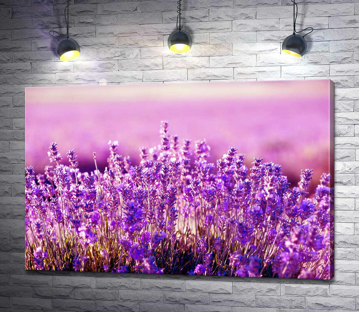 Картина ArtPoster Сонячні промені вплітаються між квітів лаванди 100x67 см Модуль №1 (002838)