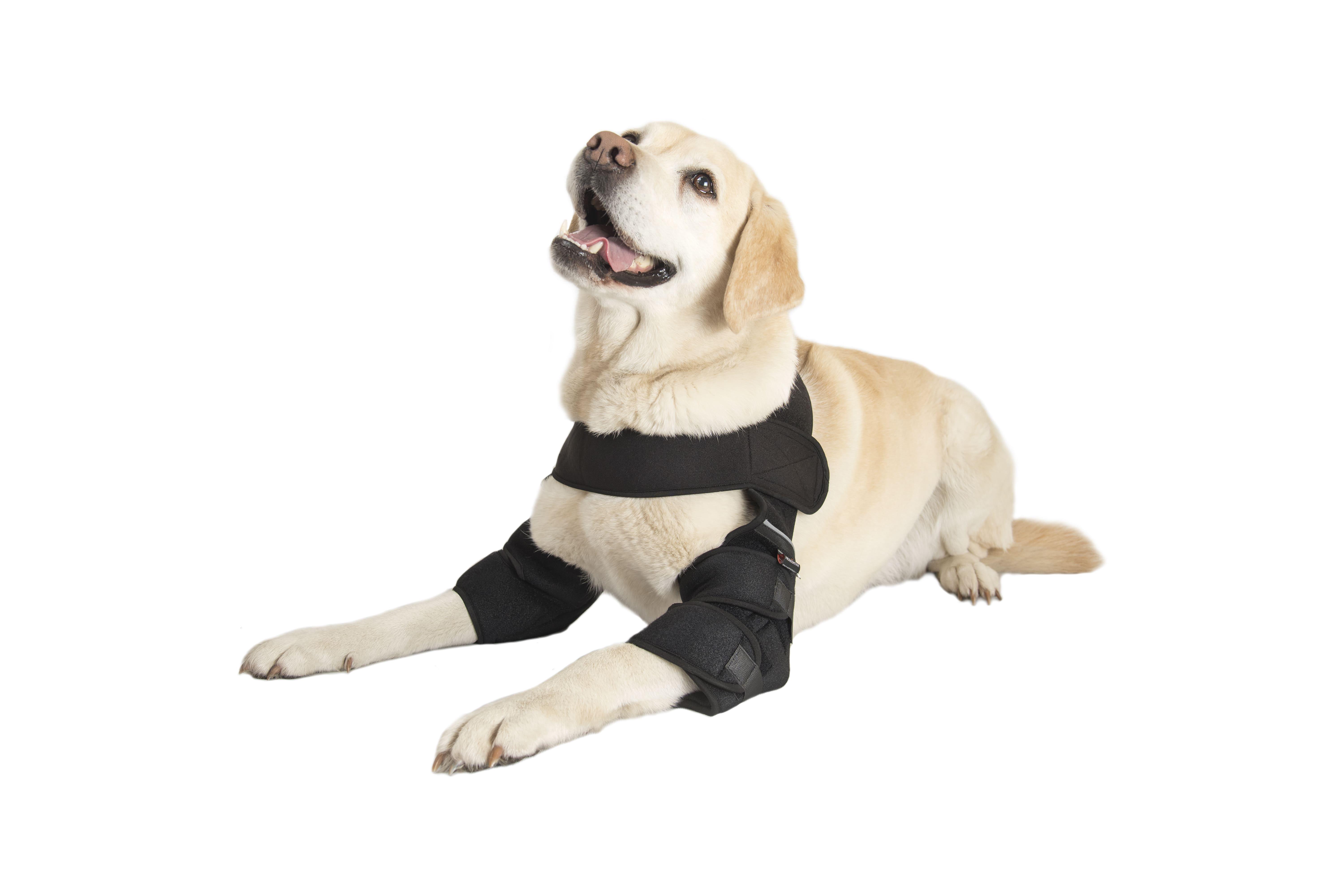 Налокотники для собак Frakishtak М Красный (28338094) - фото 4 Налокотники для собак Frakishtak М Красный (28338094) - фото 4