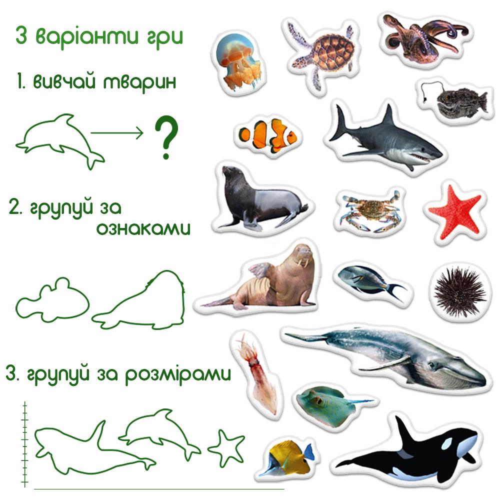 Набір магнітів Magdum Морські фото (ML4031-28 EN) - фото 3 Набір магнітів Magdum Морські фото (ML4031-28 EN) - фото 3