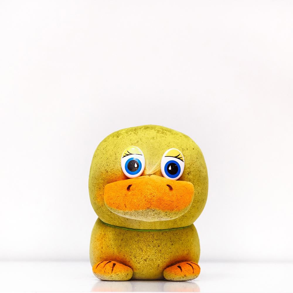 Трав'янчик Каченя