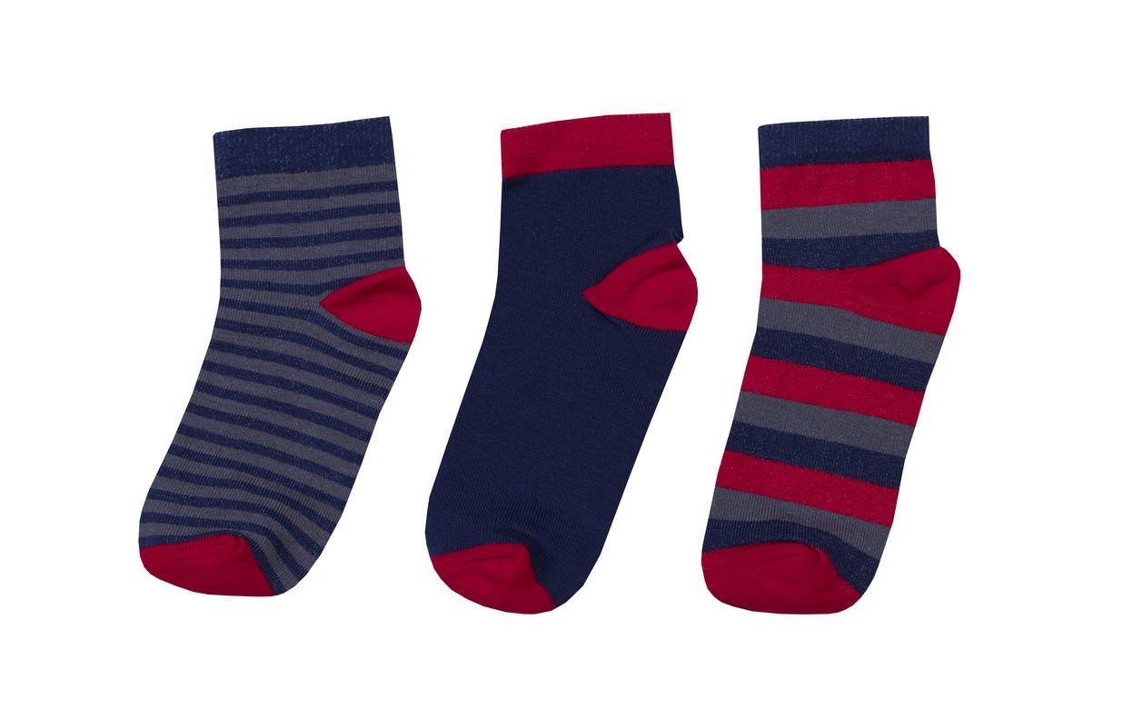 Шкарпетки дитячі бавовняні демісезонні для хлопчика Gabbi NSD-588 р. 16-18 6 пар (90588)