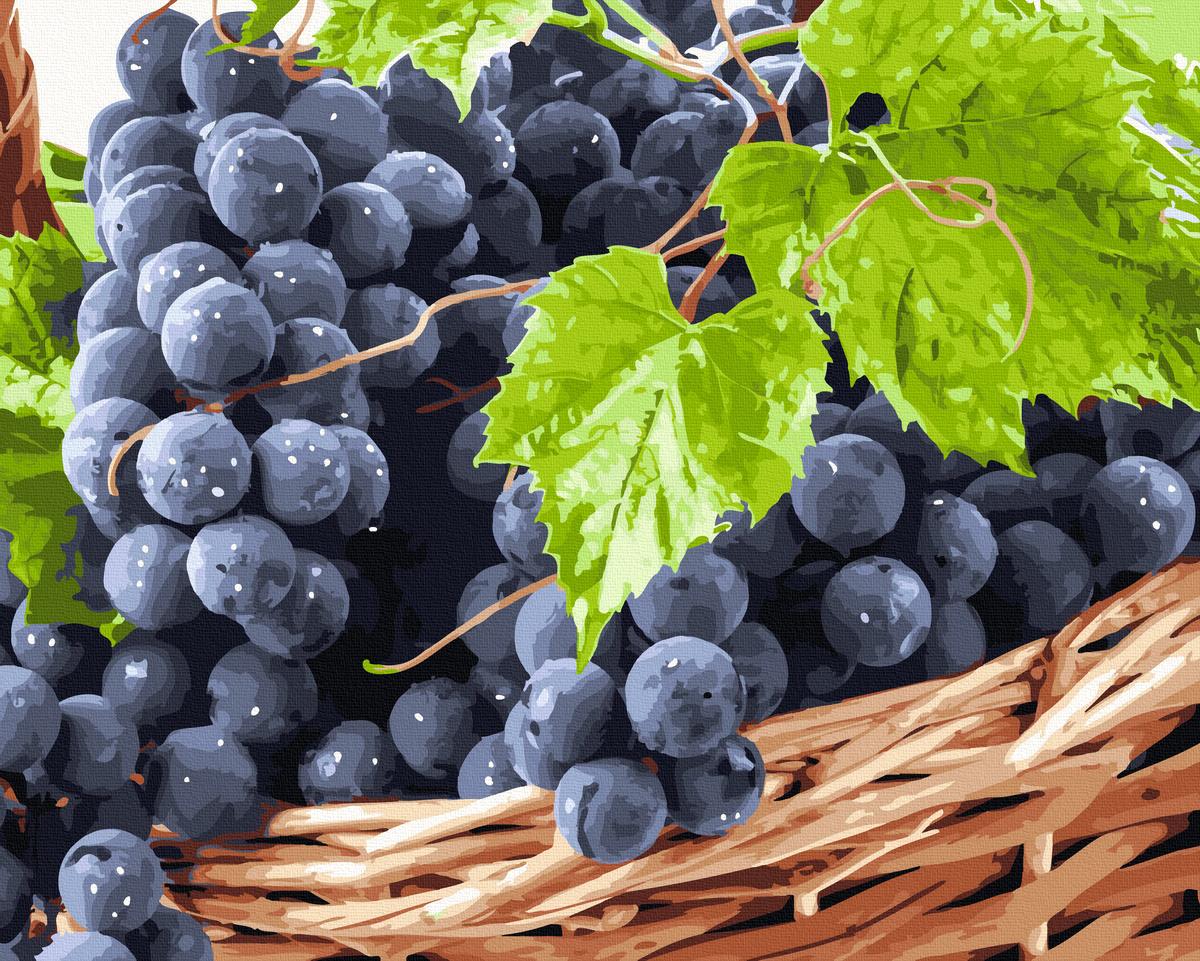 Картина по номерам Brushme Дары лета 40x50 см (GX40390)