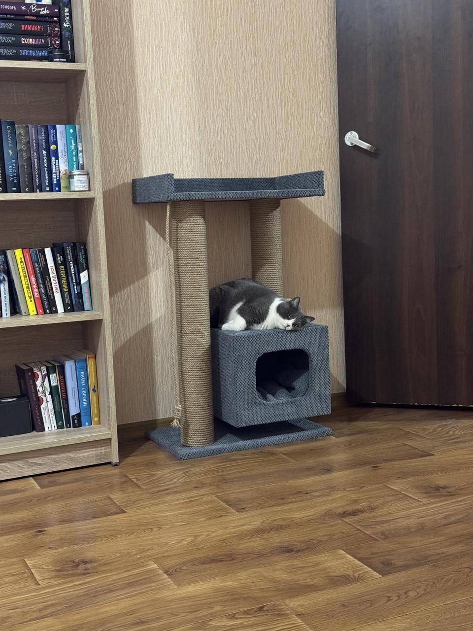 Кігтеточка будинок та лежанка 85 см Сірий (Kote-565198906-gray) Кігтеточка будинок та лежанка 85 см Сірий (Kote-565198906-gray)