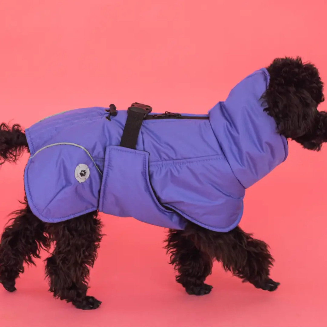 Жилет попона Dogs Bomba GP-4/4 - фото 2