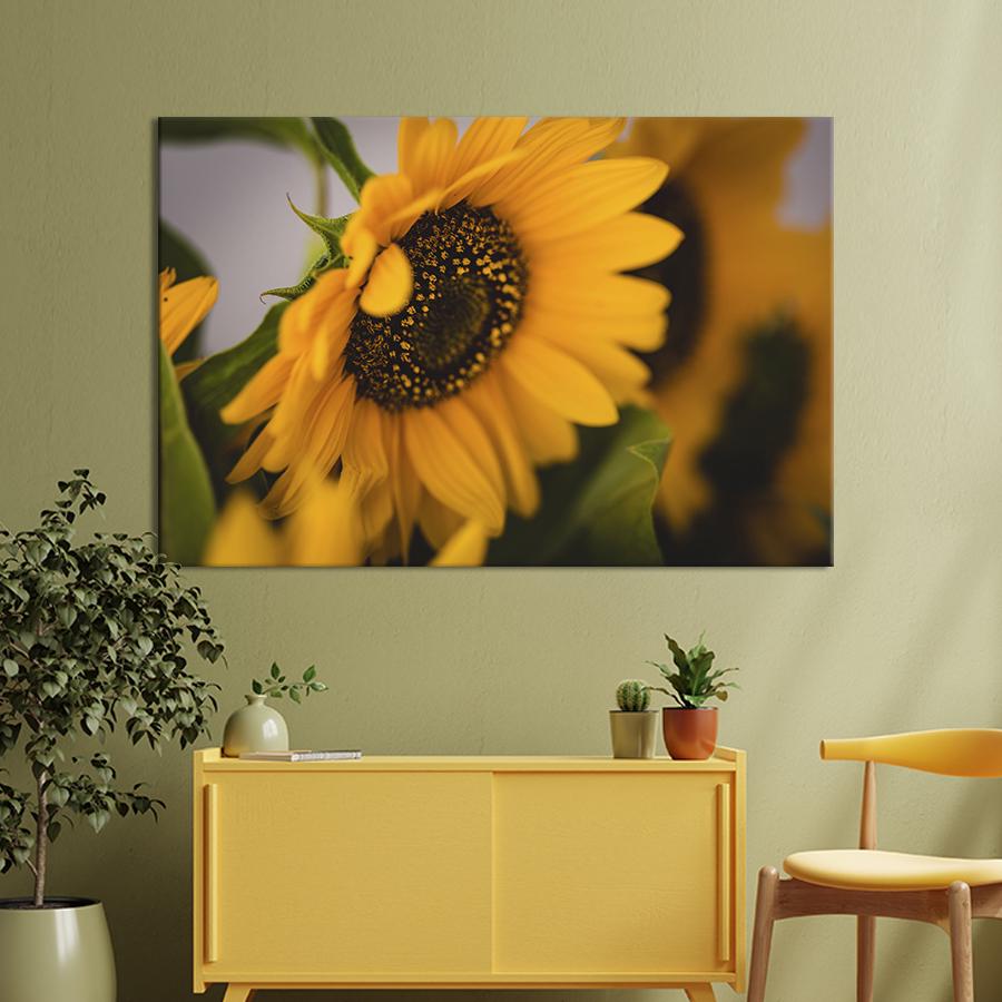 Картина на холсте Цветок подсолнуха 51x34 см (961-1)