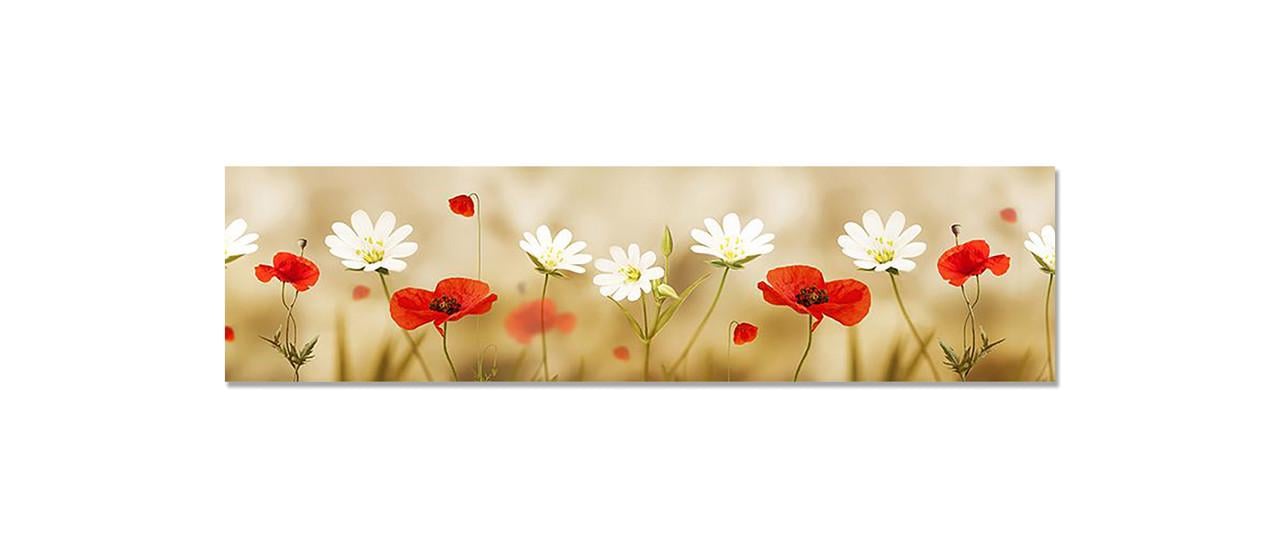 Наклейка виниловая на кухню Zatarga Маки и Ромашки 650х2500 мм (1274514163)